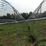 Philippines Prefabricated Kit single-span Strawberry Greenhouse Tunnel Plastic