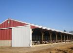 Safety Steel Structure Cow Shed House Agricultural Farm Steel Building
