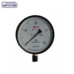 Large Dial Economy Pressure Gauge Manometer 150mm Dial OEM