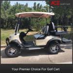Multipurpose 4 Seater Golf Cart With LED Lighting 80km Travelling Range And 5kw
