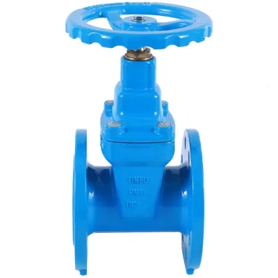 3 Inch CF8 Stainless Steel Flange Gate Valve with Y Type Strainer and Manual Control
