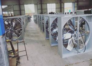 Quality Agriculture Greenhouse Cooling System , Multipurpose Greenhouse Exhaust Fan wholesale
