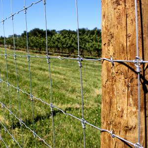 Quality High Tensile Fixed Knot Fence Grassland Deer Farm Hot Dipped Galvanized wholesale