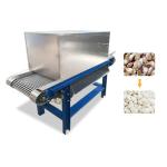 Automatic Stainless Steel Fruit Vegetable Processing Machine Electric Double