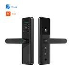 Wifi Remote Tuya Smart Door Lock