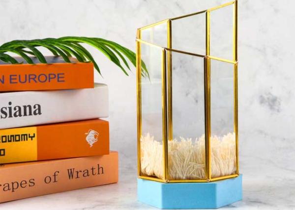 Simple copper geometric glass cover container pot simulation flower storage