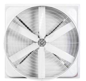 Quality Chicken Fiberglass 650mm Ventilation Cooling Fan 370W Industrial Exhaust Fan wholesale