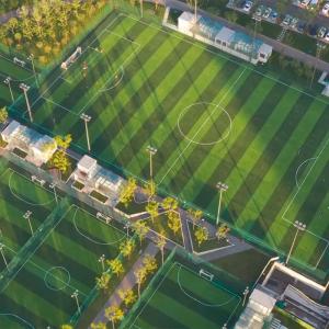 Quality Football Landscape Putting Green Grass Synthetic Turf Artificial Grass wholesale