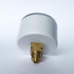 Axial Direction Mount Hygienic Pressure Gauge 30 ATM Luminous Inflation Syringe
