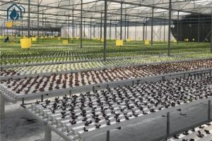 Quality Smart NFT Hydroponic Growing System Plant Growth Commercial And Indoor Garden Kit wholesale