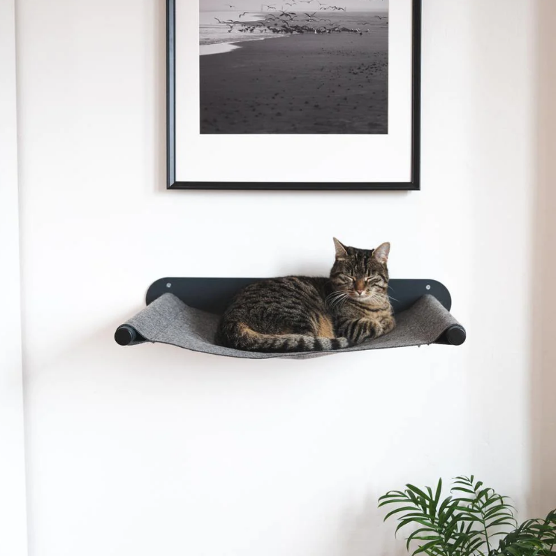 Wall Mount Multi-Layer Cat Post for Climb and Scratch Ideal for Multi-Cat Households