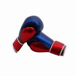 OEM 12oz Boxing Exercise Equipment Hand Made Boxing Gloves