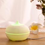 ChaoJin Home Air Portable Ultrasonic USB Mini 100ML Electronic Aroma Diffuser