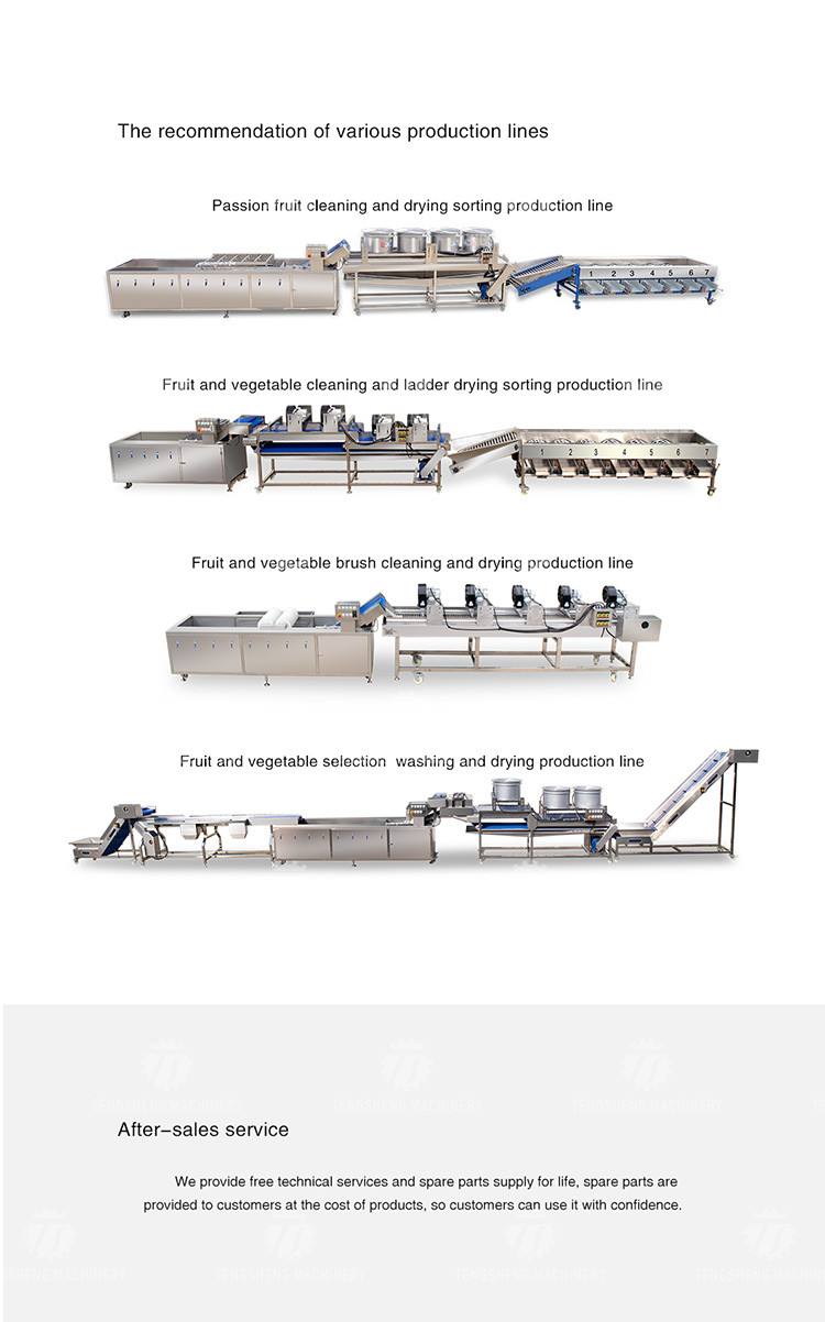 1500KG/H Sweet potato cleaning and peeling machine manufacturers supply brush peeling cleaning machine