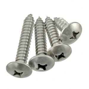 Quality M4*14mm Phillips Truss Head Self Tapping Sheet Metal Screw 304 Stainless wholesale