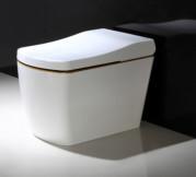 Quality Floor Mounted Automatic Bathroom Smart Toilet Customized White Color 110 - 220v wholesale