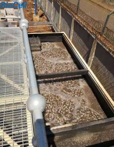 Quality 5.5t 66m3/H Poultry Farm MBBR Wastewater Treatment Plant ISO9001 wholesale