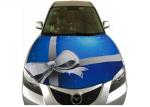 Merry Christmas Theme Car Hood Covers Digital Colorful Printing Car Hood Flags