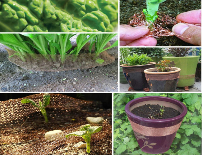 99.9% Copper Knitted Mesh Corrugate Roll Stainless Steel For Protecting Garden Plants