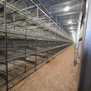 Quality Modern HDG Chicken Egg Layer Cages 0.40m2 Space 9birds/Cage Farming wholesale