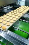 PLC Control 1000kg/H Sweet Bun Automatic Bread Production Line