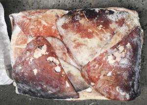 Quality Brc Equator Squid Wing Catching Area: Pacific Ocean Fao 87 1000g Up Size wholesale