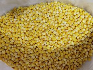 Quality Iqf 24 Months Frozen Sweet Corn Kernels wholesale