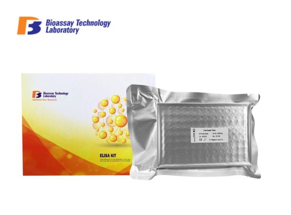 SOCS Box Protein 2 Sandwich ELISA Kit 2 Hours Assay Length Human High Sensitive