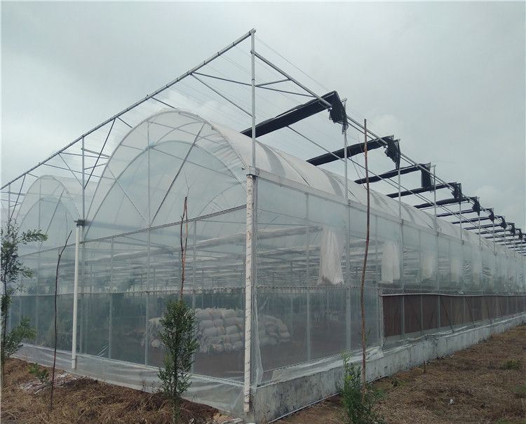 Turnkey Intelligent Glass/Polycarbnate Board Coverig Vertical Farming Greenhouse