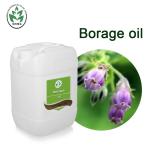 Lithospermum Borage Essential Oil Cold Press Skin Ulcers Treatment
