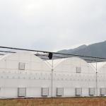 Poly Tunnel Plastic Film 200 Micron Multi-span Customized Agricultural