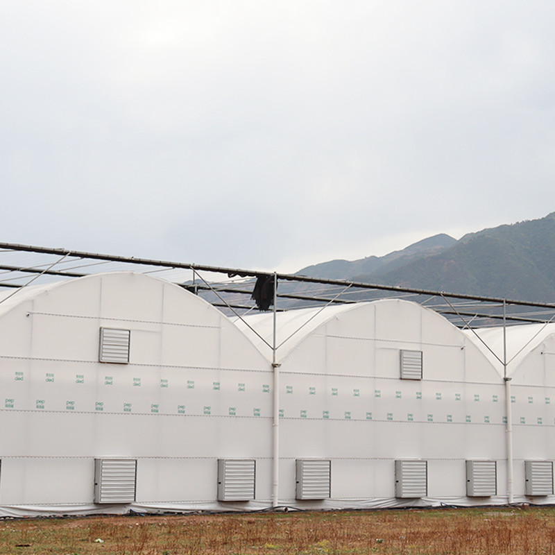 Farm Multi-span Tunnel Greenhouse Plastic Film For Agriculture