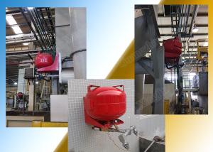 Quality 30L Heptafluoropropane Fm200 Extinguishing System GB25972-2010 Standard Portable wholesale