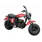 4 Stroke 2 Wheels Drive Road Race Motorcycles Seat Height 720mm
