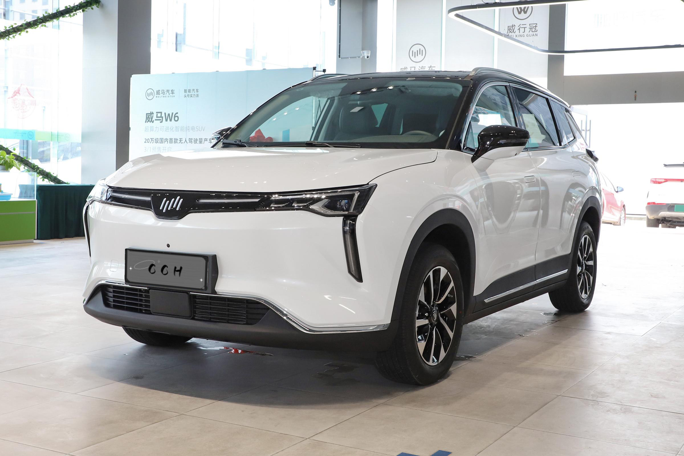Weima W6 Ex5 2023 Full Electric SUVs LHD 5 Seat 4 Doors