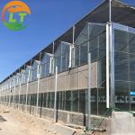 Stable Structure Glass Greenhouse for Growing Vegetables Tomato Skeleton