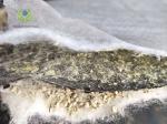 High Density Polyethylene Coating Bentonite Geosynthetic Clay Liner Modern