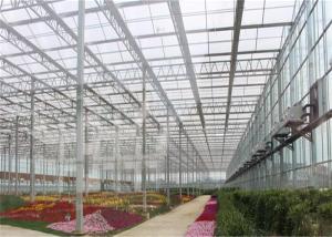 Quality Fish Farming Low Cost Greenhouse , Modular Glass Greenhouse Long Lifetime wholesale