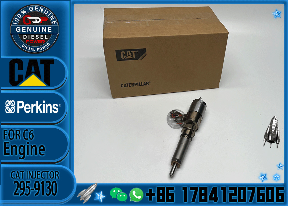 Common Rail C6 Diesel Engine Fuel Injector 317-2300 326-4700 295-9130 10R7675