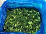 IQF Frozen Broccoli Florets, blanched, head diameter 3-5 cm