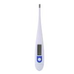 Medical Clinical Fever Alarm Function Electronic Thermometer