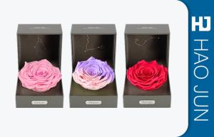 China High Quality New Design Luxury Cardboard Flower Boxes Round Packaging Box on sale