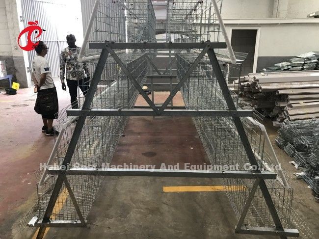 Galvanized A Type 3 Tier Or 4 Tier Chicken Poultry Layer Battery Cage For 45,000 Birds Poultry Chicken Farm Doris
