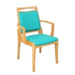 Simple Modern Solid Wood Dining Chair Home Soft Bag Cushioned