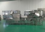 24KW Automatic Mixing Batch Ss304 Peanut Frying Machine