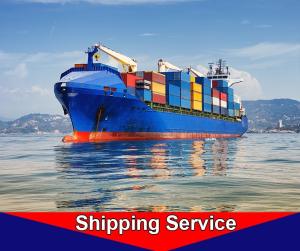Quality LCL Ocean Freight Transportation Agent Qingdao To Hamburg Amsterdam wholesale
