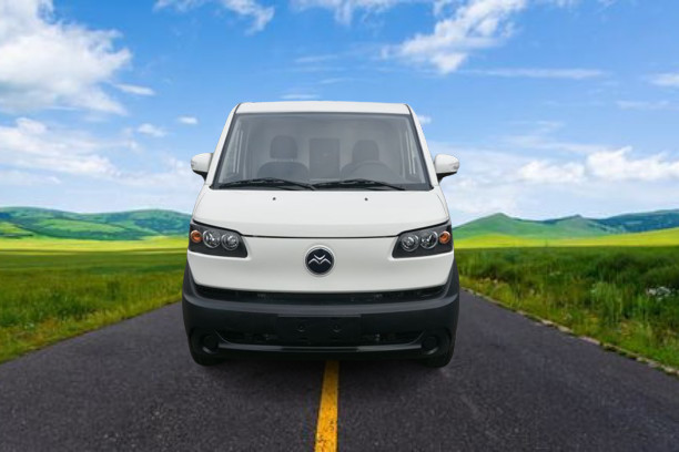 China Manufacturer Easy To Drive Electric Cargo Cargo Van For Express/transporting Food Or Goods