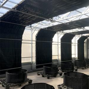 Quality Anti UV PE Film Light Deprivation Greenhouse With Automatic Ventilation System wholesale