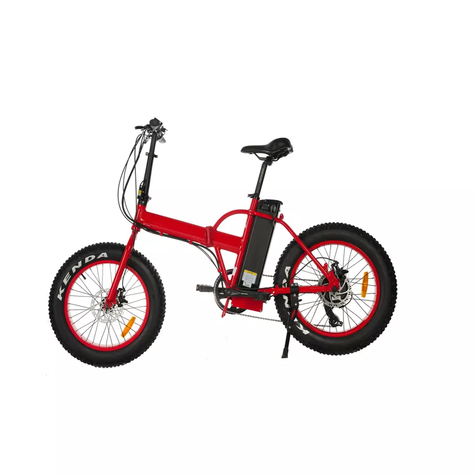 DOMANCA 36V 9.6 AH Electric Folding Bike Customized and Multicolored Electric Bicycle