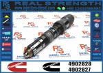 Parts QSK19 QSK23 QSK45 QSK60 PC1250-7 Fuel Injector 4088431 4076533 4902827